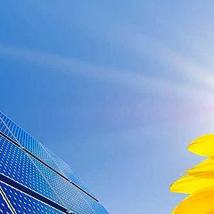 blume solar 13707596